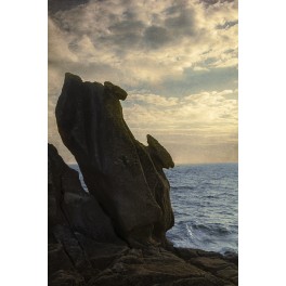 Le Cri - Rocher à Lesconil (F-29)